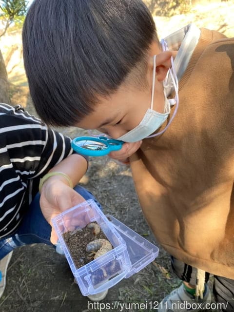 户外找找趣生態課|跟著老師控窯去|尋找雞母蟲親子課程 - 第11張圖 户外找找趣生態課|跟著老師控窯去|尋找雞母蟲親子課程