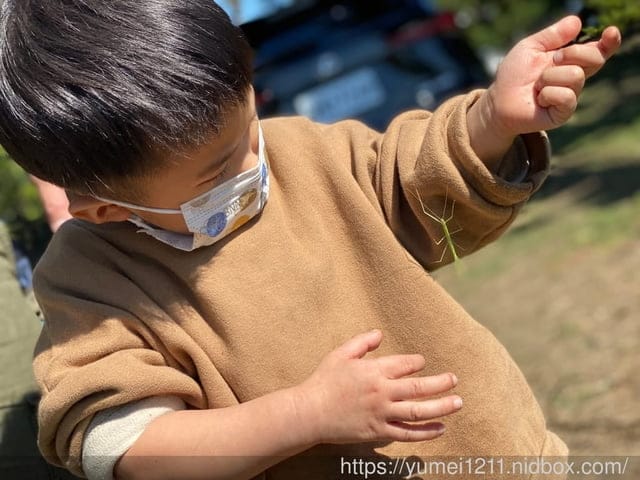 户外找找趣生態課|跟著老師控窯去|尋找雞母蟲親子課程 - 第21張圖 户外找找趣生態課|跟著老師控窯去|尋找雞母蟲親子課程