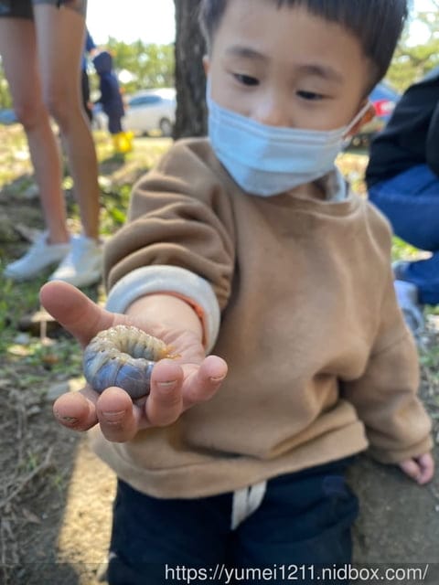 户外找找趣生態課|跟著老師控窯去|尋找雞母蟲親子課程 - 第9張圖 户外找找趣生態課|跟著老師控窯去|尋找雞母蟲親子課程