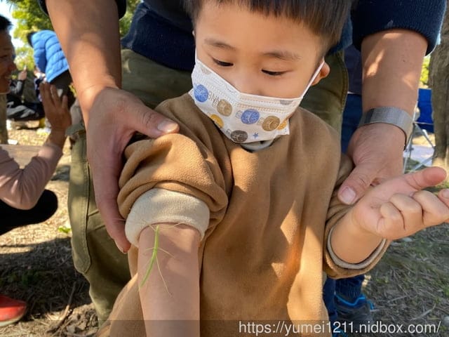 户外找找趣生態課|跟著老師控窯去|尋找雞母蟲親子課程 - 第22張圖 户外找找趣生態課|跟著老師控窯去|尋找雞母蟲親子課程