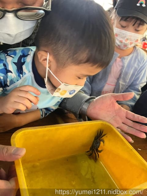 台中親子景點｜螃蟹的匠師-葵海休閒農場｜玩泥巴、抓螃蟹、划船、控窯、玩水｜玩樂分享