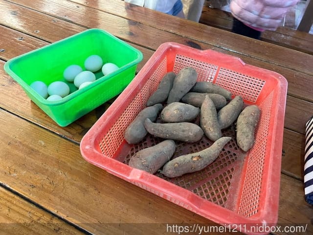台中親子景點｜螃蟹的匠師-葵海休閒農場｜玩泥巴、抓螃蟹、划船、控窯、玩水｜玩樂分享