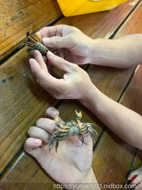 台中親子景點｜螃蟹的匠師-葵海休閒農場｜玩泥巴、抓螃蟹、划船、控窯、玩水｜玩樂分享