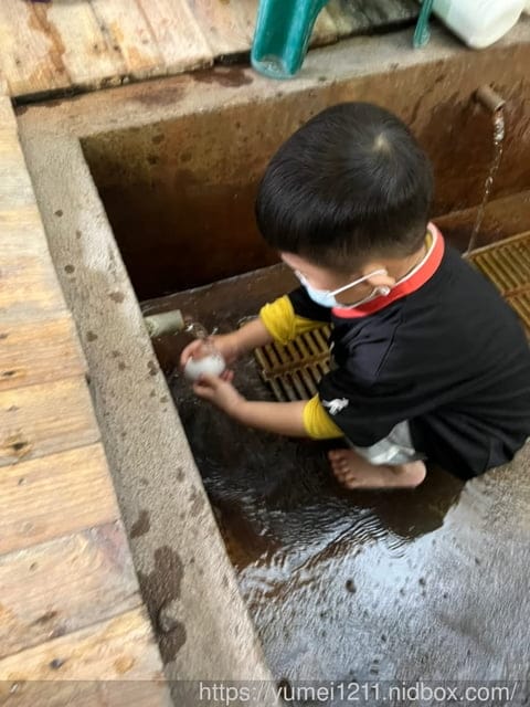 台中親子景點｜螃蟹的匠師-葵海休閒農場｜玩泥巴、抓螃蟹、划船、控窯、玩水｜玩樂分享