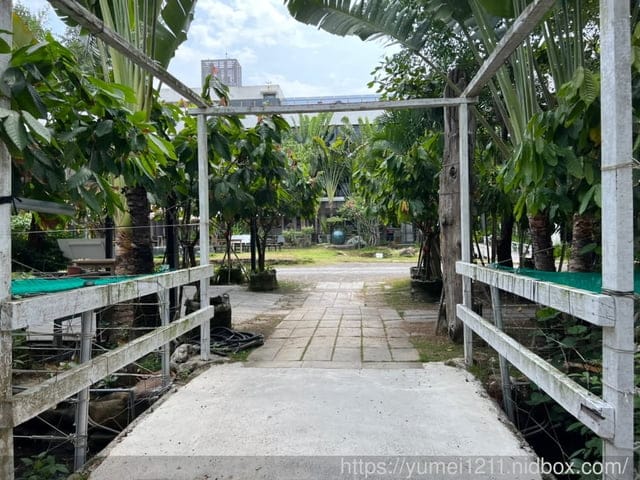 屏東東港住宿|福灣莊園|頂級莊園住宿|巧克力小工匠DIY|屏東東港親子民宿推薦 - 第8張圖 屏東東港住宿|福灣莊園|頂級莊園住宿|巧克力小工匠DIY|屏東東港親子民宿推薦
