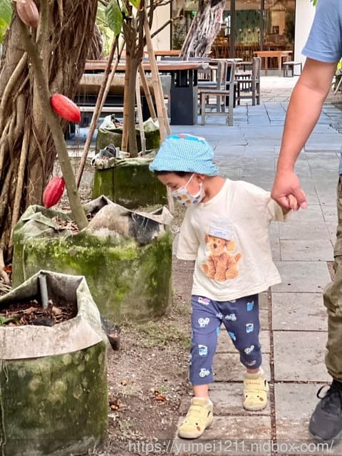 屏東東港住宿|福灣莊園|頂級莊園住宿|巧克力小工匠DIY|屏東東港親子民宿推薦 - 第11張圖 屏東東港住宿|福灣莊園|頂級莊園住宿|巧克力小工匠DIY|屏東東港親子民宿推薦