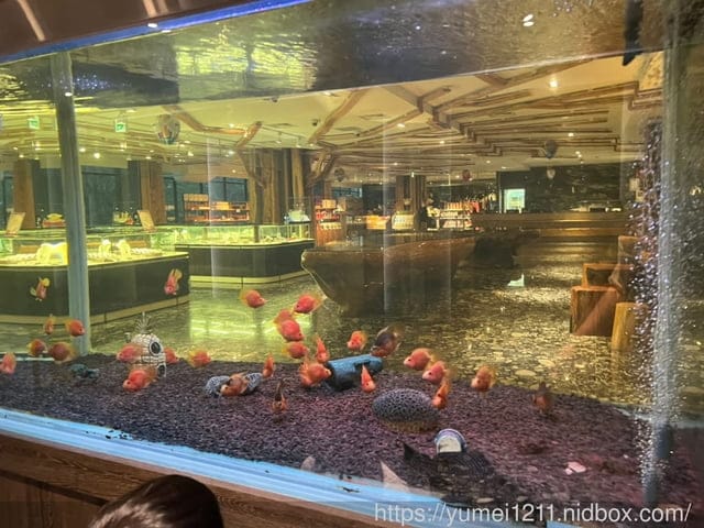 台東住宿|鹿野住宿|綺麗渡假村|飯店溫泉別墅|VILLA飯店都可選 - 第23張圖 台東住宿|鹿野住宿|綺麗渡假村|飯店溫泉別墅|VILLA飯店都可選