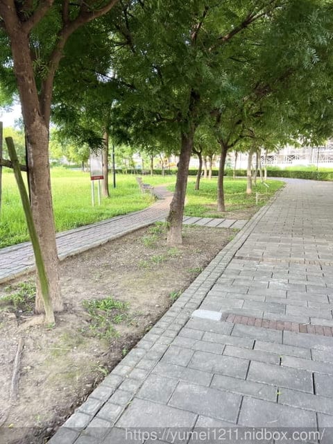 不用出門也能與營養師一對一體態及飲食分析服務｜Cofit 我的專屬營養師｜荷爾蒙體質評測｜8周飲食改造計畫