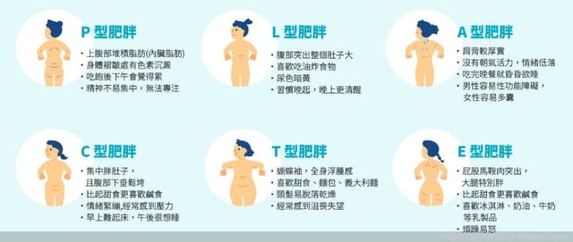 不用出門也能與營養師一對一體態及飲食分析服務｜Cofit 我的專屬營養師｜荷爾蒙體質評測｜8周飲食改造計畫