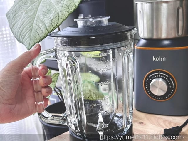 夏日甜品|盆栽冰淇淋杯|芒果冰沙輕鬆上桌|堅果抹醬|歌林冰沙蔬果研磨調理機 - 第6張圖 夏日甜品|盆栽冰淇淋杯|芒果冰沙輕鬆上桌|堅果抹醬|歌林冰沙蔬果研磨調理機
