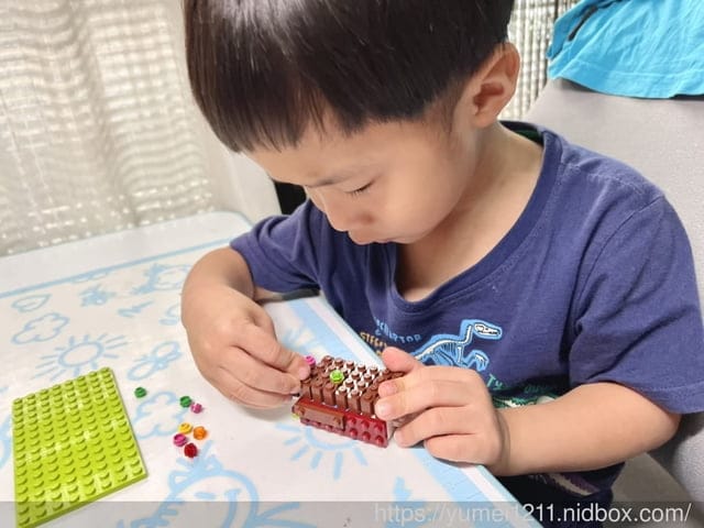 LEGO樂高|經典套裝11013|創意與想像力|鬥陣橋樂趣,親子共玩 - 第13張圖 LEGO樂高|經典套裝11013|創意與想像力|鬥陣橋樂趣,親子共玩