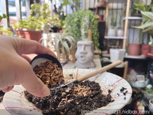 廚餘機開箱推薦|FoodCycler廚餘大師Pro旗艦版|一鍵啟動廚餘機界的 “dyson” - 第17張圖 廚餘機開箱推薦|FoodCycler廚餘大師Pro旗艦版|一鍵啟動廚餘機界的 “dyson”