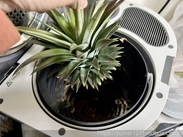 廚餘機開箱推薦|FoodCycler廚餘大師Pro旗艦版|一鍵啟動廚餘機界的 “dyson” - 第4張圖 廚餘機開箱推薦|FoodCycler廚餘大師Pro旗艦版|一鍵啟動廚餘機界的 “dyson”
