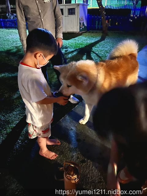 2023南投竹山景點｜海盜村一泊四食玩宿｜尋寶遊戲、親子寵物友善｜一票玩到底！不限次數