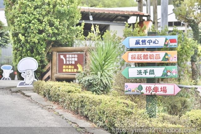 南投埔里親子景點|豐年農場|A套裝行程相當值回票價|免門票、免費導覽採菇、披薩DIY、菇菇彩繪|雨天備案 - 第9張圖 南投埔里親子景點|豐年農場|A套裝行程相當值回票價|免門票、免費導覽採菇、披薩DIY、菇菇彩繪|雨天備案