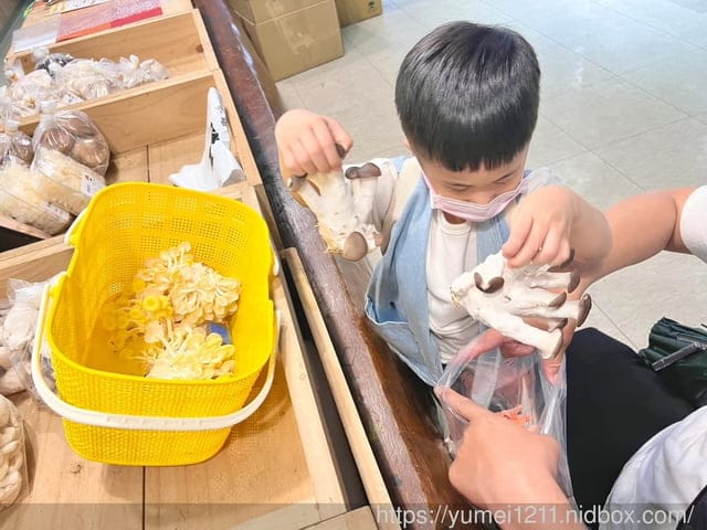 南投埔里親子景點|豐年農場|A套裝行程相當值回票價|免門票、免費導覽採菇、披薩DIY、菇菇彩繪|雨天備案 - 第60張圖 南投埔里親子景點|豐年農場|A套裝行程相當值回票價|免門票、免費導覽採菇、披薩DIY、菇菇彩繪|雨天備案