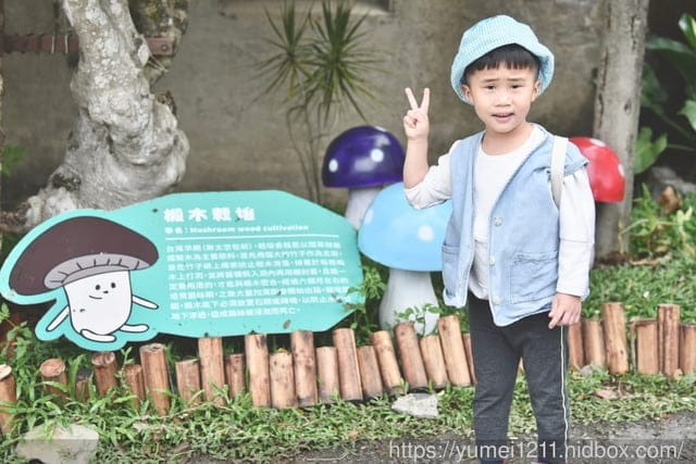 南投埔里親子景點|豐年農場|A套裝行程相當值回票價|免門票、免費導覽採菇、披薩DIY、菇菇彩繪|雨天備案 - 第15張圖 南投埔里親子景點|豐年農場|A套裝行程相當值回票價|免門票、免費導覽採菇、披薩DIY、菇菇彩繪|雨天備案