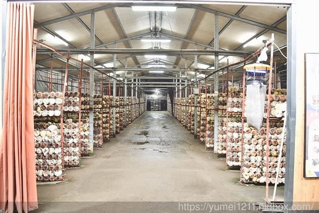 南投埔里親子景點|豐年農場|A套裝行程相當值回票價|免門票、免費導覽採菇、披薩DIY、菇菇彩繪|雨天備案 - 第42張圖 南投埔里親子景點|豐年農場|A套裝行程相當值回票價|免門票、免費導覽採菇、披薩DIY、菇菇彩繪|雨天備案