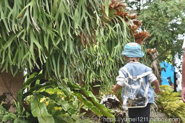 南投埔里親子景點|豐年農場|A套裝行程相當值回票價|免門票、免費導覽採菇、披薩DIY、菇菇彩繪|雨天備案 - 第8張圖 南投埔里親子景點|豐年農場|A套裝行程相當值回票價|免門票、免費導覽採菇、披薩DIY、菇菇彩繪|雨天備案