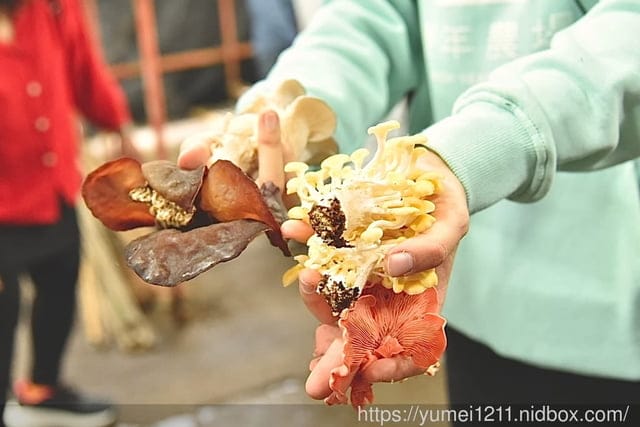 南投埔里親子景點|豐年農場|A套裝行程相當值回票價|免門票、免費導覽採菇、披薩DIY、菇菇彩繪|雨天備案 - 第44張圖 南投埔里親子景點|豐年農場|A套裝行程相當值回票價|免門票、免費導覽採菇、披薩DIY、菇菇彩繪|雨天備案