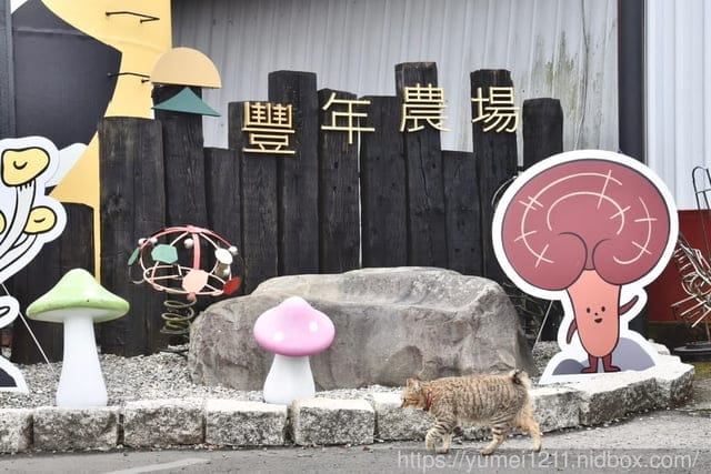 南投埔里親子景點|豐年農場|A套裝行程相當值回票價|免門票、免費導覽採菇、披薩DIY、菇菇彩繪|雨天備案 - 第5張圖 南投埔里親子景點|豐年農場|A套裝行程相當值回票價|免門票、免費導覽採菇、披薩DIY、菇菇彩繪|雨天備案