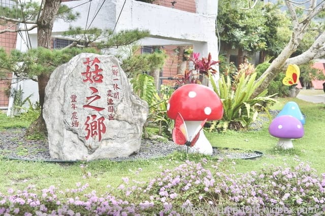 南投埔里親子景點|豐年農場|A套裝行程相當值回票價|免門票、免費導覽採菇、披薩DIY、菇菇彩繪|雨天備案 - 第11張圖 南投埔里親子景點|豐年農場|A套裝行程相當值回票價|免門票、免費導覽採菇、披薩DIY、菇菇彩繪|雨天備案