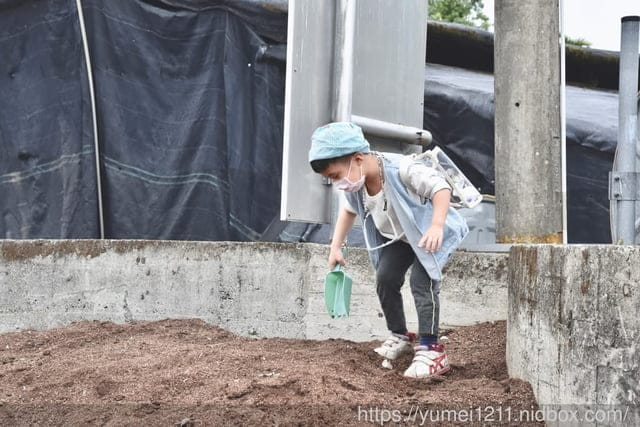 南投埔里親子景點|豐年農場|A套裝行程相當值回票價|免門票、免費導覽採菇、披薩DIY、菇菇彩繪|雨天備案 - 第106張圖 南投埔里親子景點|豐年農場|A套裝行程相當值回票價|免門票、免費導覽採菇、披薩DIY、菇菇彩繪|雨天備案