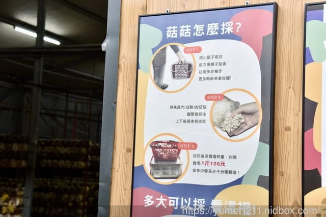 南投埔里親子景點|豐年農場|A套裝行程相當值回票價|免門票、免費導覽採菇、披薩DIY、菇菇彩繪|雨天備案 - 第50張圖 南投埔里親子景點|豐年農場|A套裝行程相當值回票價|免門票、免費導覽採菇、披薩DIY、菇菇彩繪|雨天備案