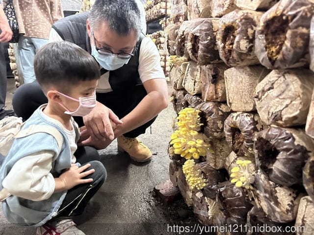 南投埔里親子景點|豐年農場|A套裝行程相當值回票價|免門票、免費導覽採菇、披薩DIY、菇菇彩繪|雨天備案 - 第45張圖 南投埔里親子景點|豐年農場|A套裝行程相當值回票價|免門票、免費導覽採菇、披薩DIY、菇菇彩繪|雨天備案