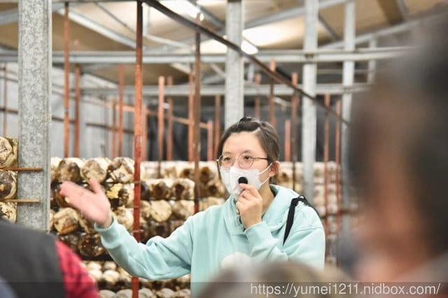 南投埔里親子景點|豐年農場|A套裝行程相當值回票價|免門票、免費導覽採菇、披薩DIY、菇菇彩繪|雨天備案 - 第43張圖 南投埔里親子景點|豐年農場|A套裝行程相當值回票價|免門票、免費導覽採菇、披薩DIY、菇菇彩繪|雨天備案