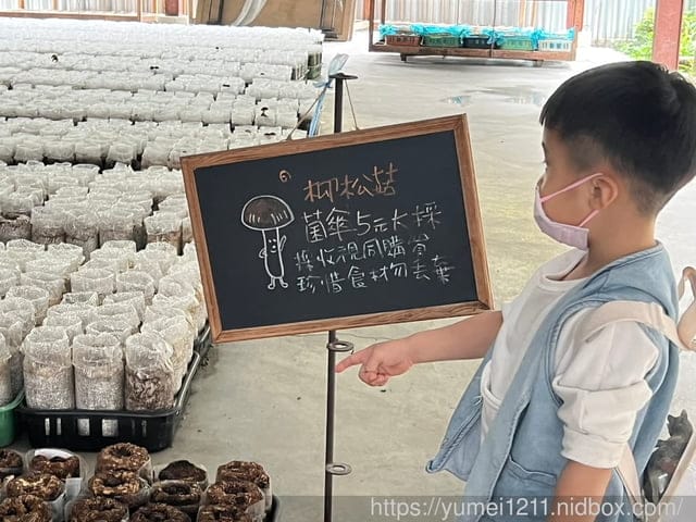 南投埔里親子景點|豐年農場|A套裝行程相當值回票價|免門票、免費導覽採菇、披薩DIY、菇菇彩繪|雨天備案 - 第46張圖 南投埔里親子景點|豐年農場|A套裝行程相當值回票價|免門票、免費導覽採菇、披薩DIY、菇菇彩繪|雨天備案