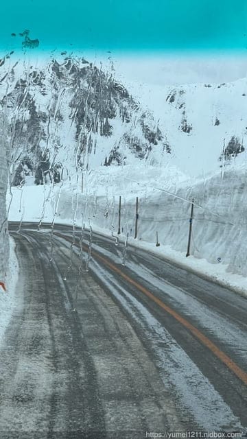 2023黑部立山開山|日本名古屋包車|立山室堂往返|看人品的景點|小小孩怎麼穿雪裝 - 第39張圖 2023黑部立山開山|日本名古屋包車|立山室堂往返|看人品的景點|小小孩怎麼穿雪裝
