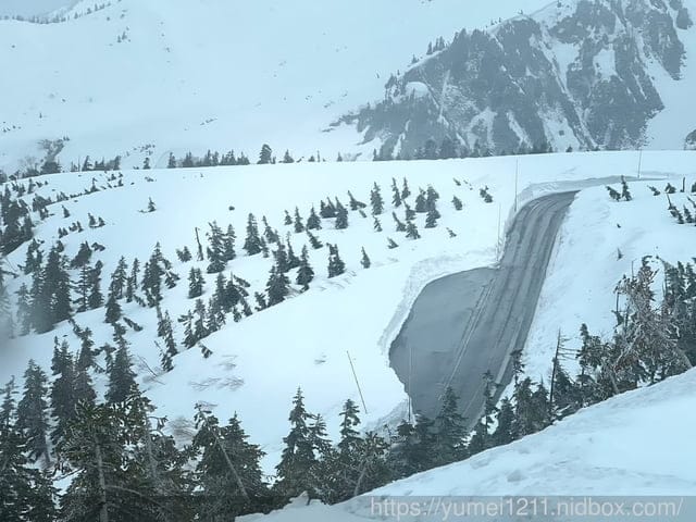 2023黑部立山開山|日本名古屋包車|立山室堂往返|看人品的景點|小小孩怎麼穿雪裝 - 第40張圖 2023黑部立山開山|日本名古屋包車|立山室堂往返|看人品的景點|小小孩怎麼穿雪裝