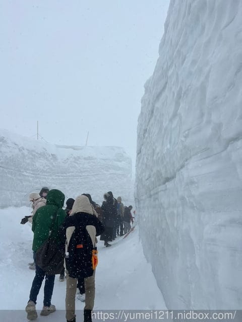 2023黑部立山開山|日本名古屋包車|立山室堂往返|看人品的景點|小小孩怎麼穿雪裝 - 第20張圖 2023黑部立山開山|日本名古屋包車|立山室堂往返|看人品的景點|小小孩怎麼穿雪裝