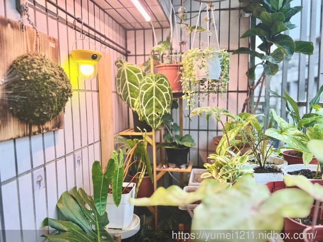避蚊用品│秋文商號│幽浮驅蚊神燈│掛勾設計│露營避蚊│USB充電