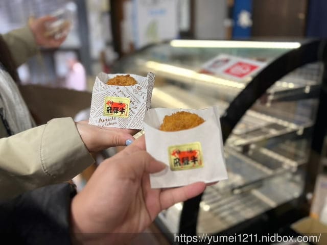 2023日本名古屋景點｜馬籠宿｜名古屋包車九人座巴士｜體驗江戶時代旅人風情｜寶可夢補給站