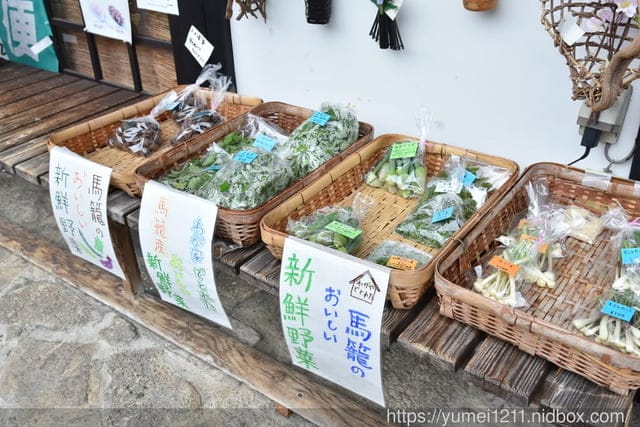 2023日本名古屋景點｜馬籠宿｜名古屋包車九人座巴士｜體驗江戶時代旅人風情｜寶可夢補給站