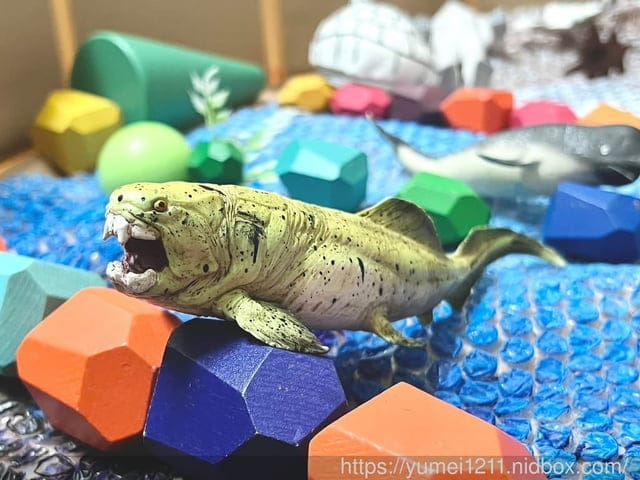 海洋深層感官盆|動物模型推薦|英國Mojo Fun|Animal Planet(動物星球頻道)獨家授權認證|開團福利 - 第23張圖 海洋深層感官盆|動物模型推薦|英國Mojo Fun|Animal Planet(動物星球頻道)獨家授權認證|開團福利