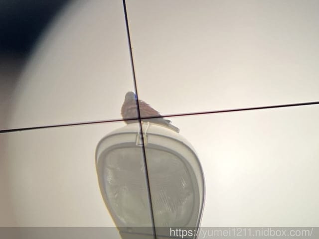 初學者入門首選天文望遠鏡｜ACUTER迷你馬60mm多功能生活望遠鏡｜鴻宇光學