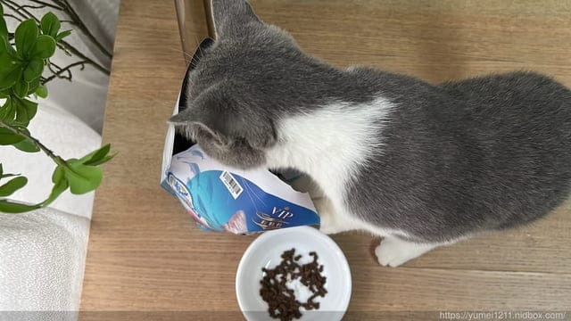 貓飼料心得|貓侍Catpool|藍貓侍|天然無穀貓糧|褐藻糖膠|貓飼料心得 - 第9張圖 貓飼料心得|貓侍Catpool|藍貓侍|天然無穀貓糧|褐藻糖膠|貓飼料心得