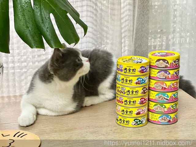 喵樂肉食控評價|超高含肉量貓罐開箱|喵樂肉食控|主副食罐罐大推薦 - 第2張圖 喵樂肉食控評價|超高含肉量貓罐開箱|喵樂肉食控|主副食罐罐大推薦