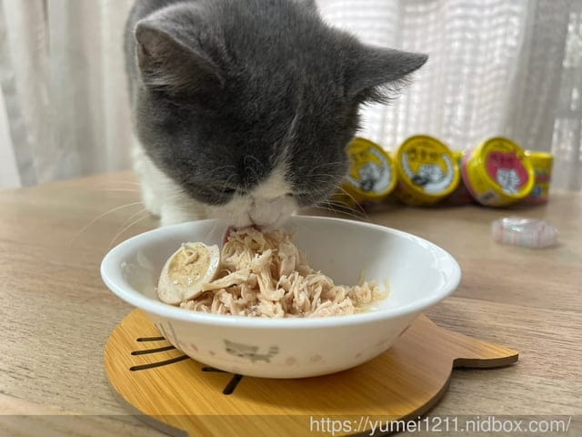 喵樂肉食控評價|超高含肉量貓罐開箱|喵樂肉食控|主副食罐罐大推薦 - 第9張圖 喵樂肉食控評價|超高含肉量貓罐開箱|喵樂肉食控|主副食罐罐大推薦