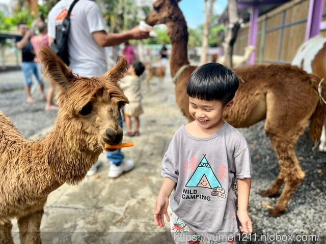 墾丁遊艇|雙體帆船|墾草趣農場|草泥馬墾草趣民宿|包船旅遊 - 第41張圖 墾丁遊艇|雙體帆船|墾草趣農場|草泥馬墾草趣民宿|包船旅遊