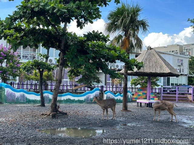 墾丁遊艇|雙體帆船|墾草趣農場|草泥馬墾草趣民宿|包船旅遊 - 第38張圖 墾丁遊艇|雙體帆船|墾草趣農場|草泥馬墾草趣民宿|包船旅遊