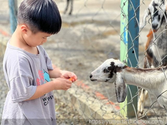 墾丁遊艇|雙體帆船|墾草趣農場|草泥馬墾草趣民宿|包船旅遊 - 第39張圖 墾丁遊艇|雙體帆船|墾草趣農場|草泥馬墾草趣民宿|包船旅遊