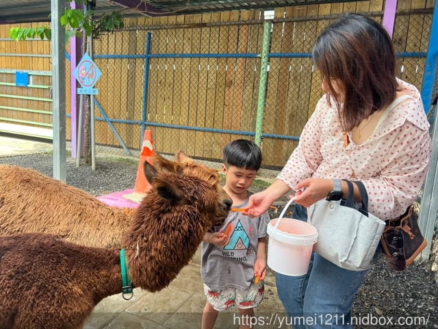 墾丁遊艇|雙體帆船|墾草趣農場|草泥馬墾草趣民宿|包船旅遊 - 第43張圖 墾丁遊艇|雙體帆船|墾草趣農場|草泥馬墾草趣民宿|包船旅遊