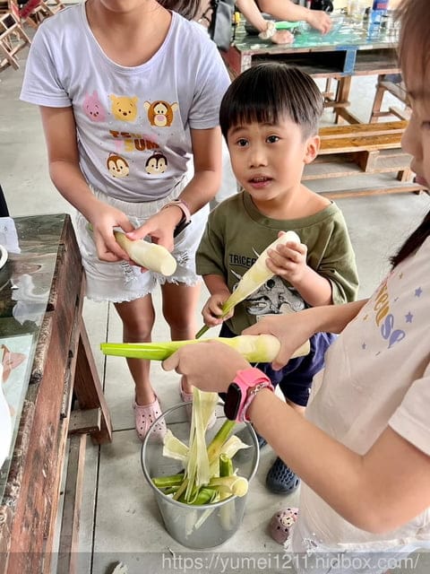 南投埔里|最佳主茭腳白筍農場|茭白筍採集體驗|慢旅行|辦桌 - 第54張圖 南投埔里|最佳主茭腳白筍農場|茭白筍採集體驗|慢旅行|辦桌