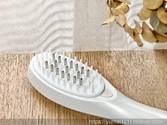 頭皮護理|EVERGLOW頭皮保養導入梳|精油可使用喔|頭皮日常護理小幫手 - 第3張圖 頭皮護理|EVERGLOW頭皮保養導入梳|精油可使用喔|頭皮日常護理小幫手