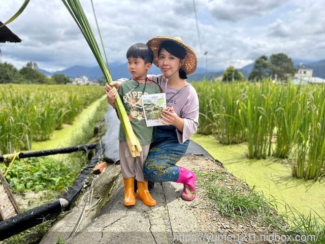 南投埔里|最佳主茭腳白筍農場|茭白筍採集體驗|慢旅行|辦桌 - 第77張圖 南投埔里|最佳主茭腳白筍農場|茭白筍採集體驗|慢旅行|辦桌