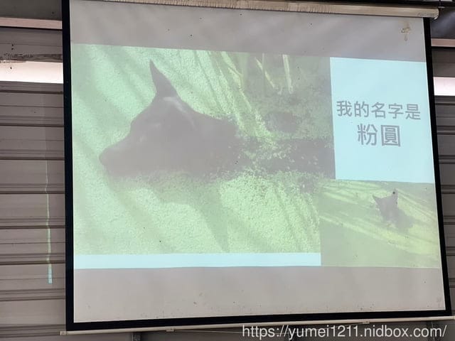 南投埔里|最佳主茭腳白筍農場|茭白筍採集體驗|慢旅行|辦桌 - 第15張圖 南投埔里|最佳主茭腳白筍農場|茭白筍採集體驗|慢旅行|辦桌